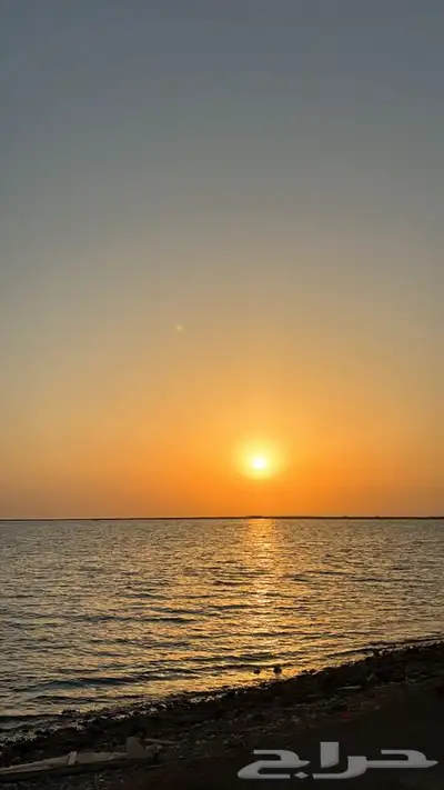 مأذون شرعي لعقود الانكحه 0