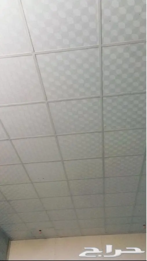 أسقف مستعاره 1