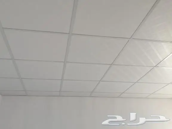 أسقف مستعاره 0