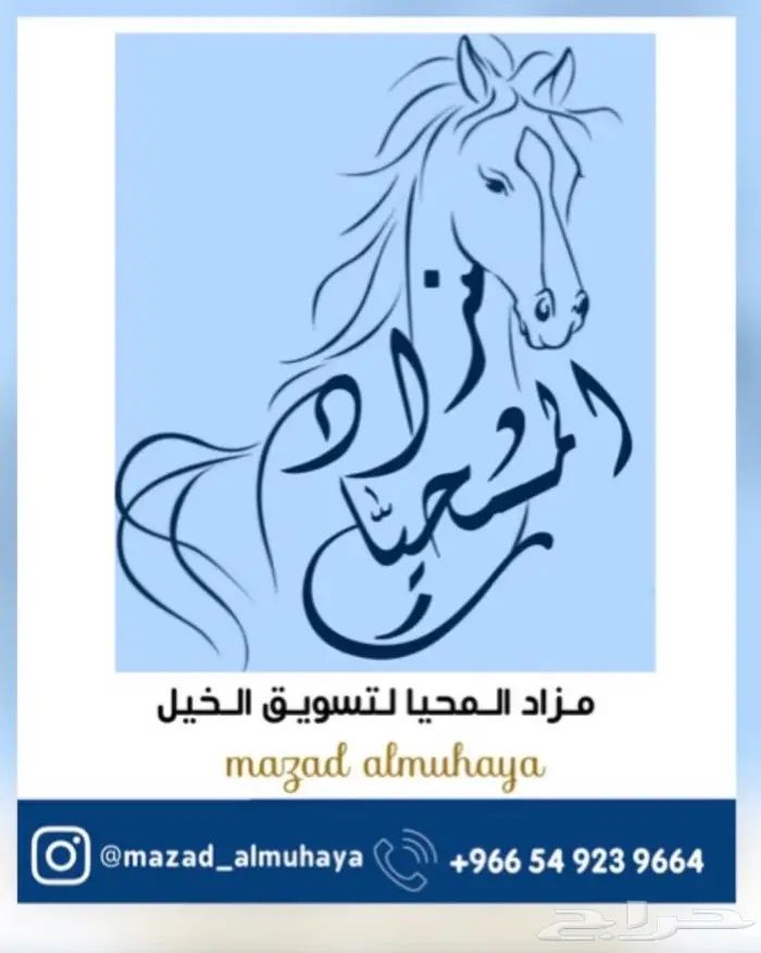 مزادات المحيا 0
