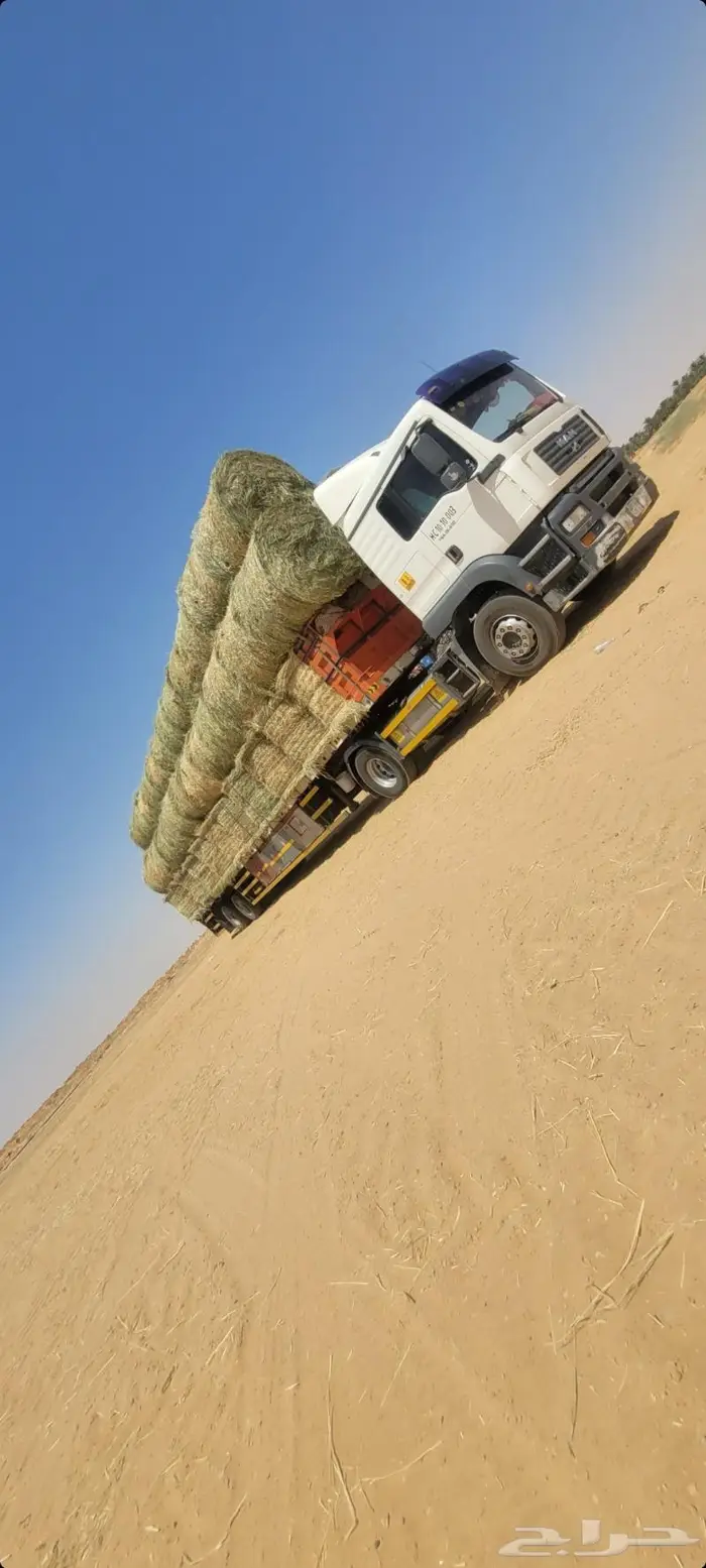 اللبيع لفات صافي وناعم شد طيب. إنتاج هذي السنه 81
