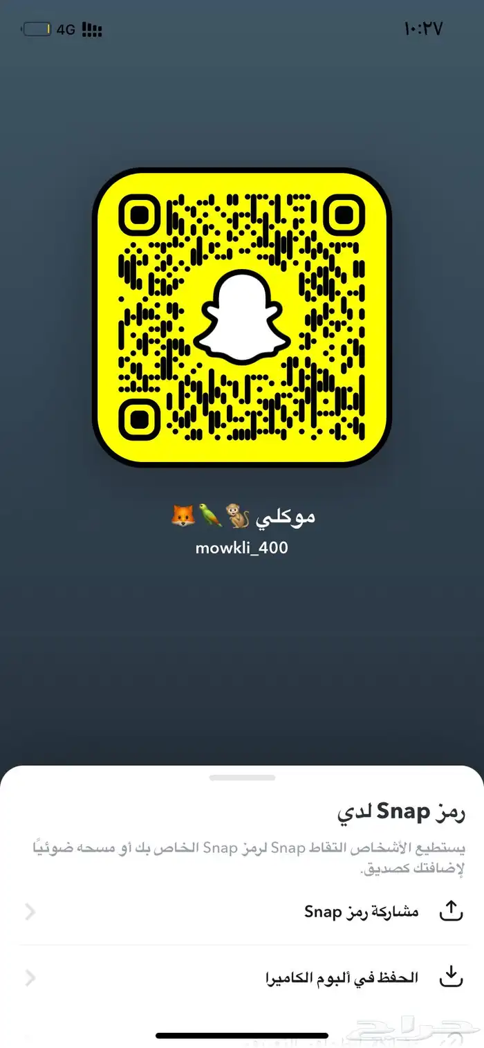 كيتن شيرازي 6