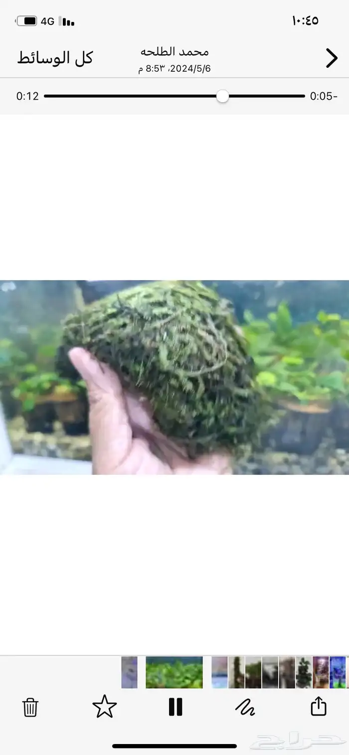 نباتات مائيه جمله وتفريد 2