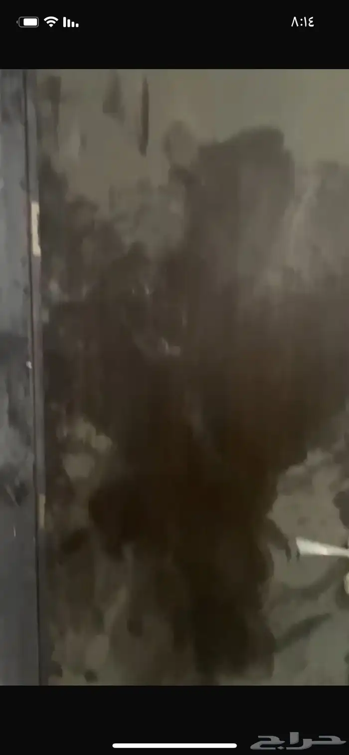 5 بيبان للبيع خشب 0