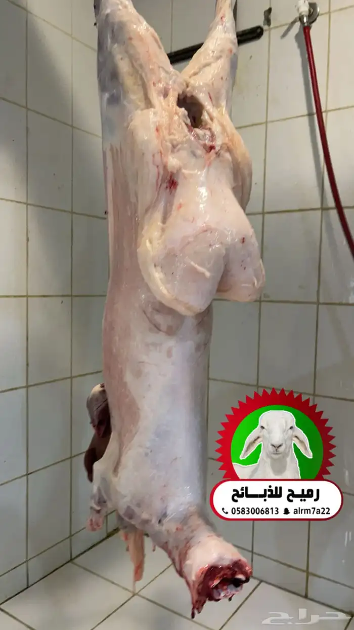 رميح للذبائح (مناسبات-عقائق-ثلاجة) 2