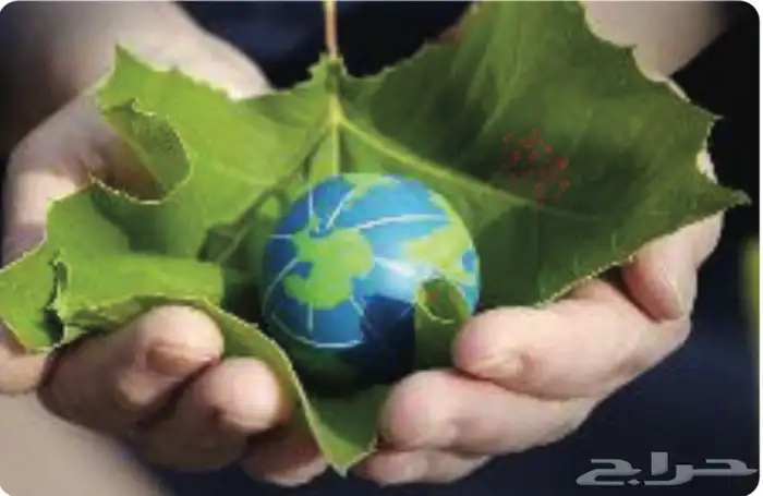 دراسة تقييم الأثر البيئي 0