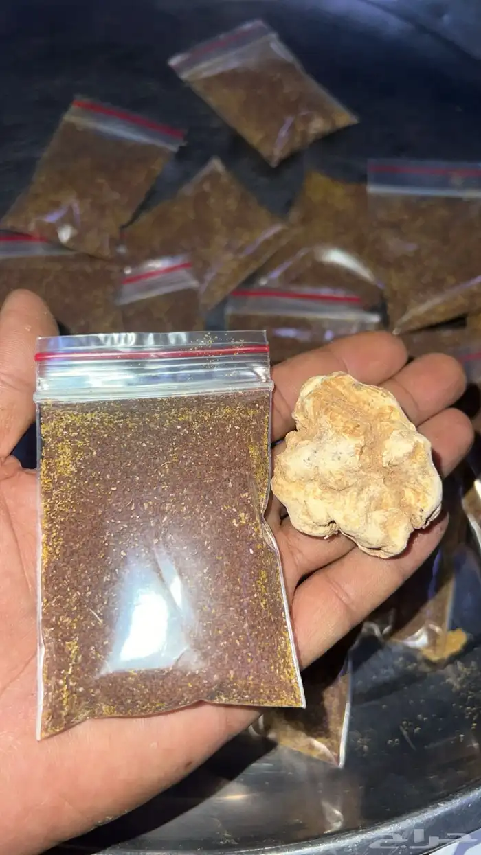 بذور الرقروق المنبت للكمأه او الزبيدي الفقع 0