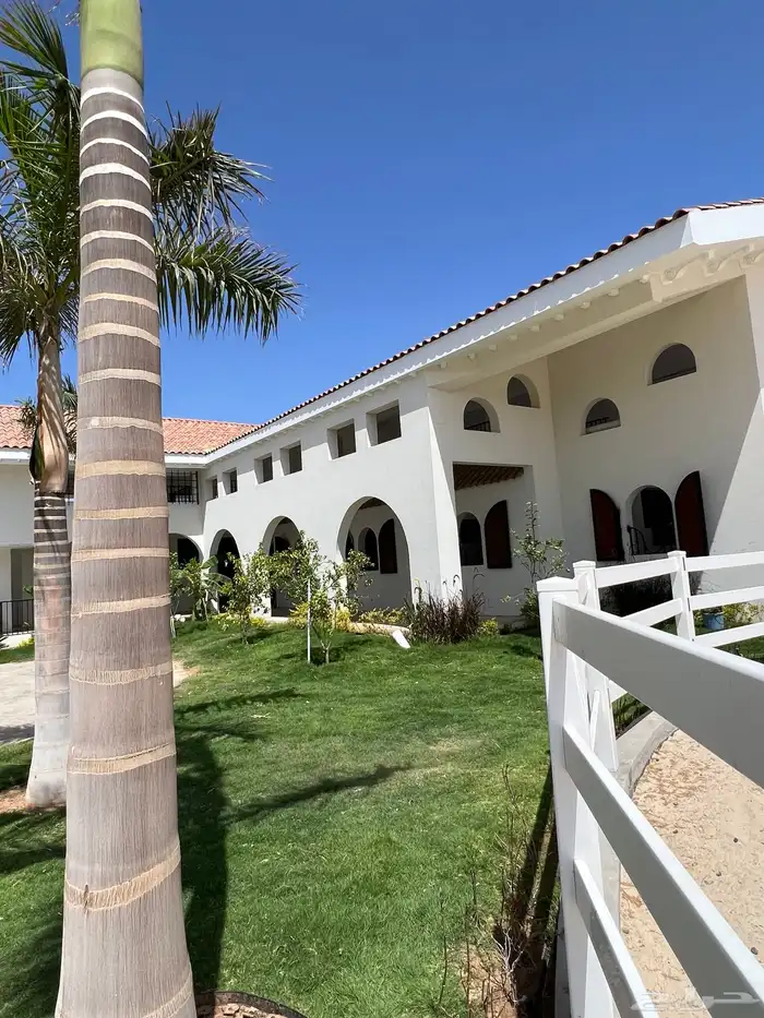 مربط و اسطبل ل ايواء الخيل Horse Stable - شمال جدة (ذهبان) 7