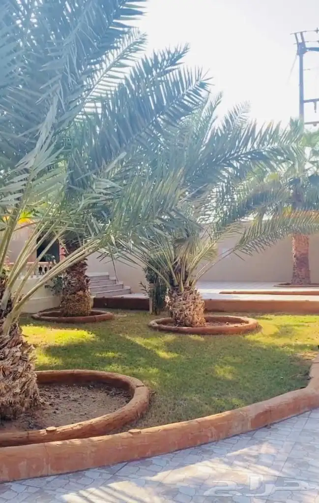 استراحه للايجار في المزاحمية ( جو ) 20