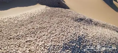 مواد حصويه بيسكورس وكنكري البطحاء و الجافوره 1