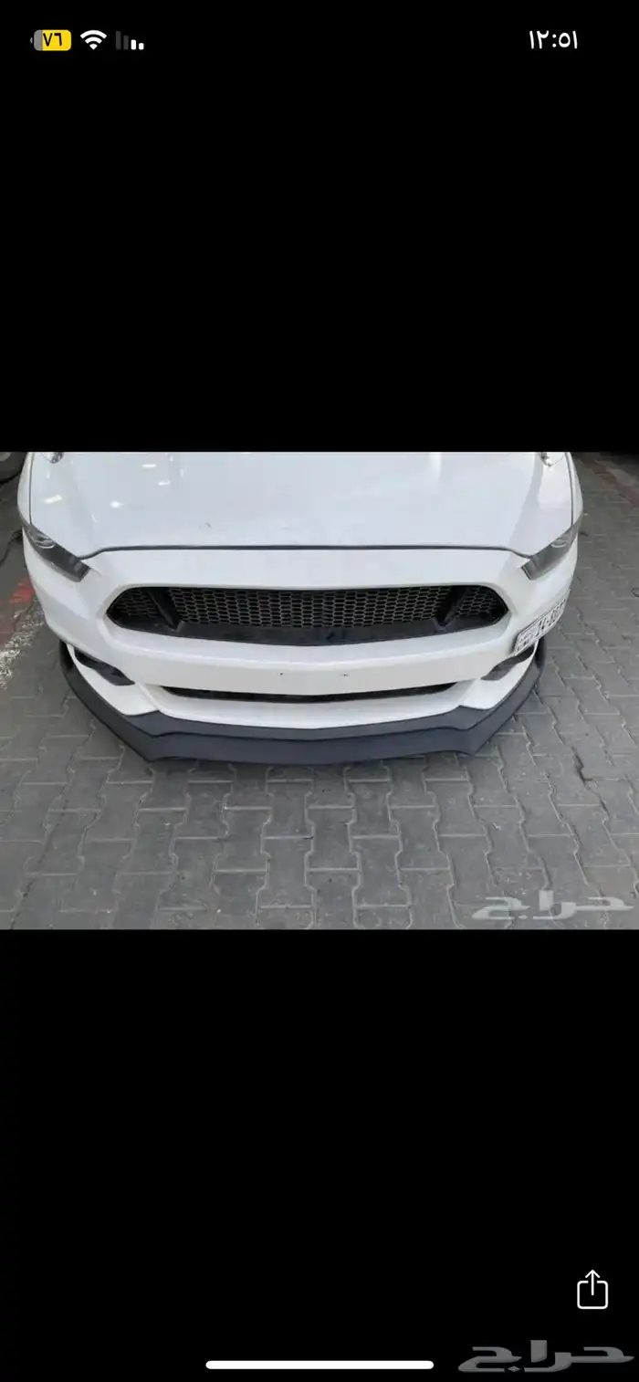 لحية موستنج مديل 2005 الى 2017 3