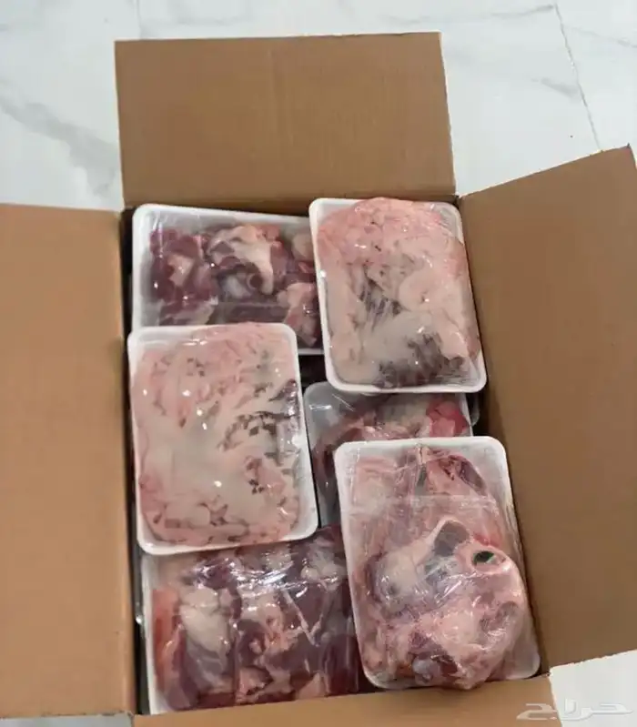 ذبايح النجم بحفر الباطن 28