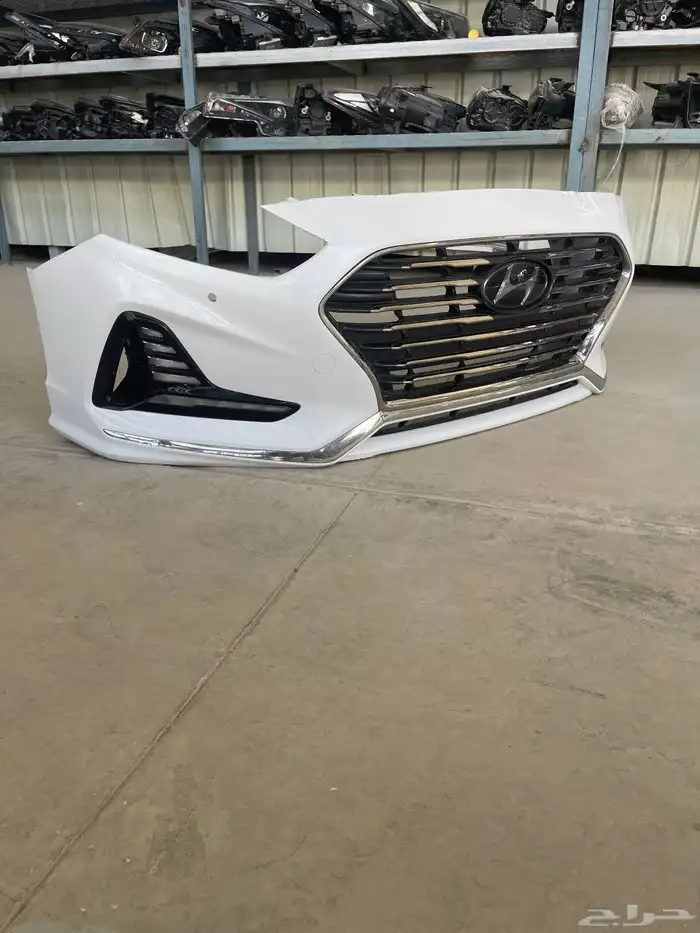 صدام سوناتا 2018-2019 1