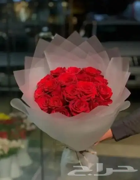 حفلات افتتاحات 2