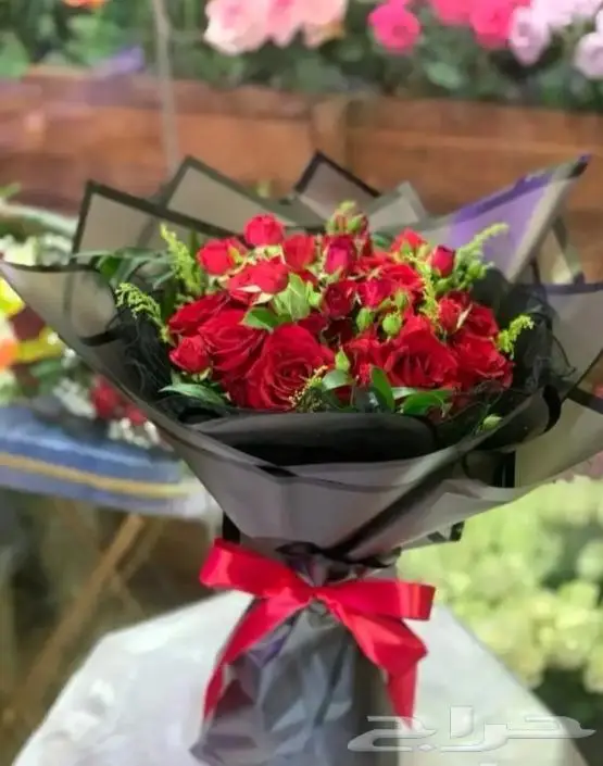 حفلات افتتاحات 0