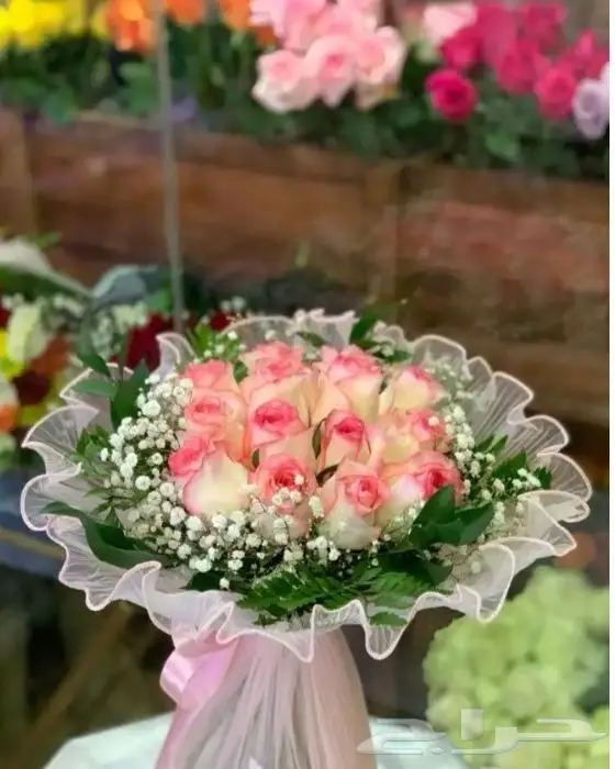 حفلات افتتاحات 6