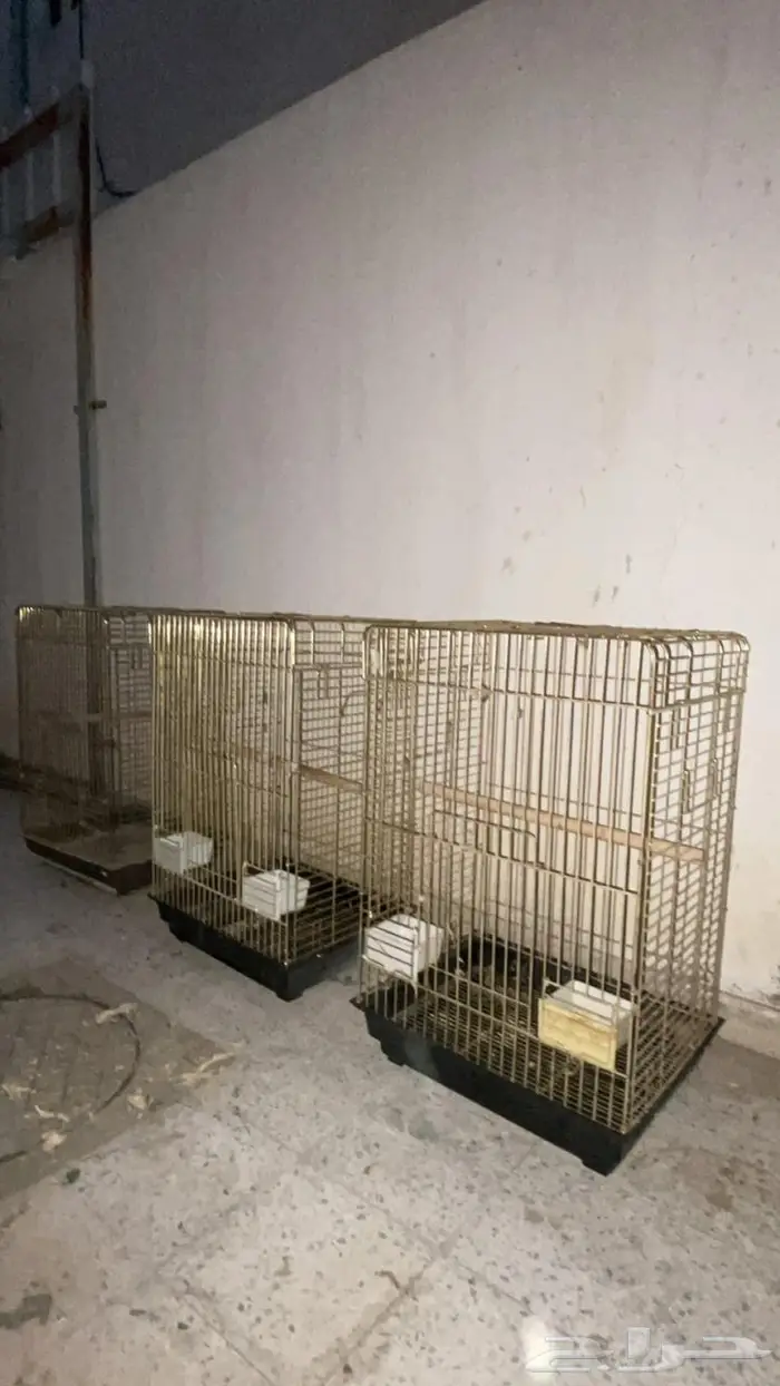 مجموعة أقفاص وأغراض ببغاوات 0