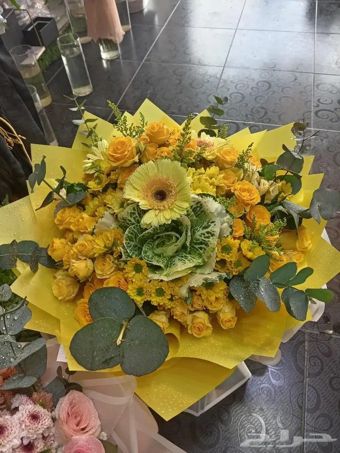 حفلات افتتاحات 8