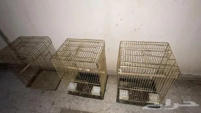 مجموعة أقفاص وأغراض ببغاوات 30