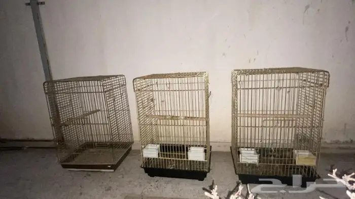 مجموعة أقفاص وأغراض ببغاوات 1