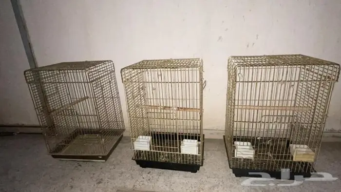 مجموعة أقفاص وأغراض ببغاوات 31