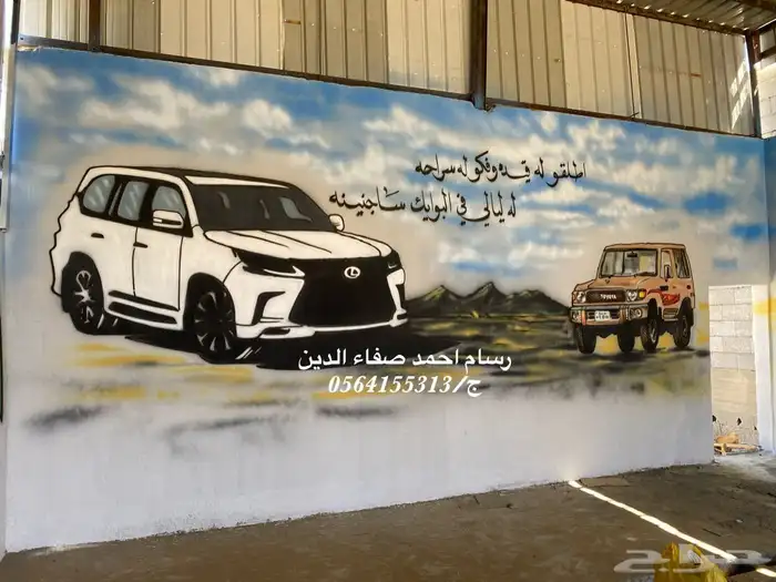 رسام مغاسل سيارات رسام جداريات 12