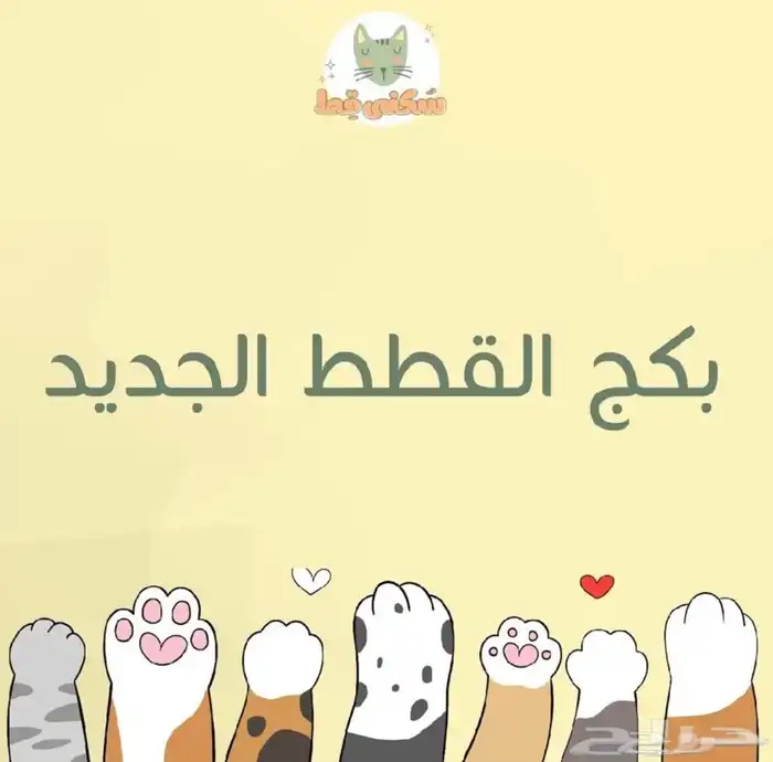 مستلزمات قط(بكج القط الجديد)ليتر بوكس-رمل-قفص تنقل-اكل قطط 1
