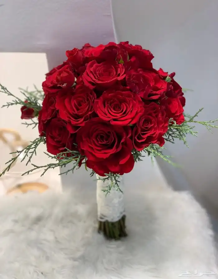 مصوره أفراح ومناسبات جده 0