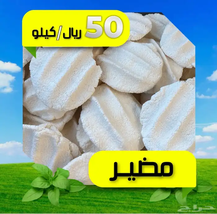 مضير - إقط- بقل 0