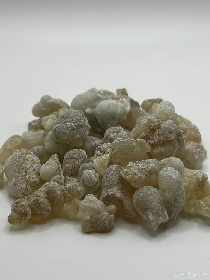 لبان عماني ذكر حوجري ظفاري نخب أول 0