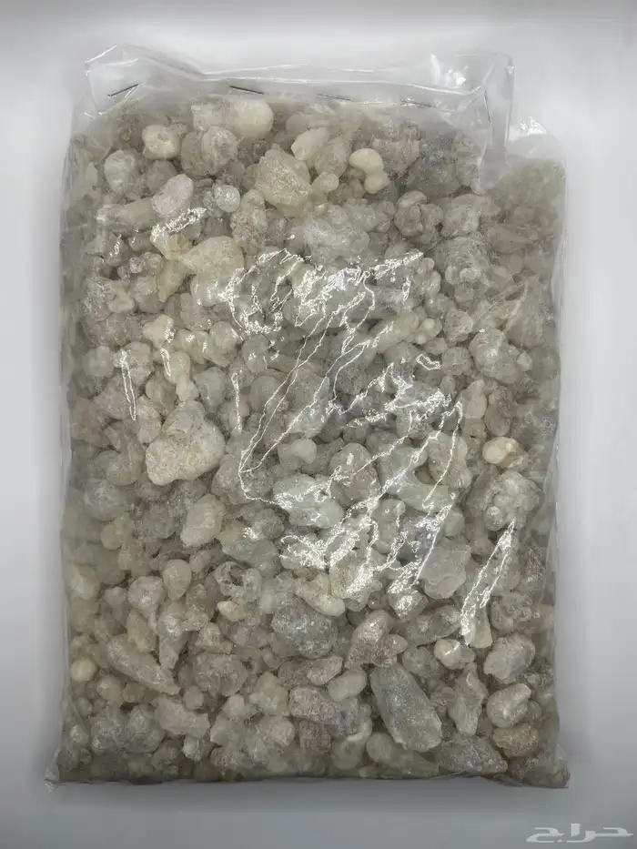 لبان عماني ذكر حوجري ظفاري نخب أول 5