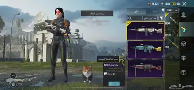 حساب ببجي للبيع السعر 500 19