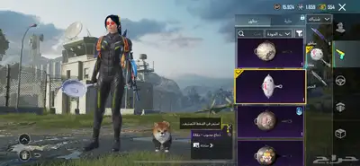 حساب ببجي للبيع السعر 500 18