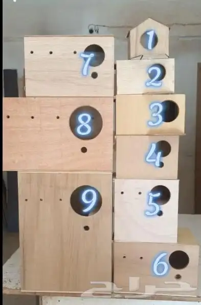 بياضه كوخ عشه بادجي كناري كروان كاسكو روز زيبرا كوكتيل 0