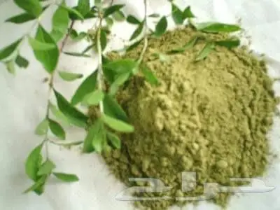 حنة المدينة المنورة الأصليه والمشاط والسدر 18