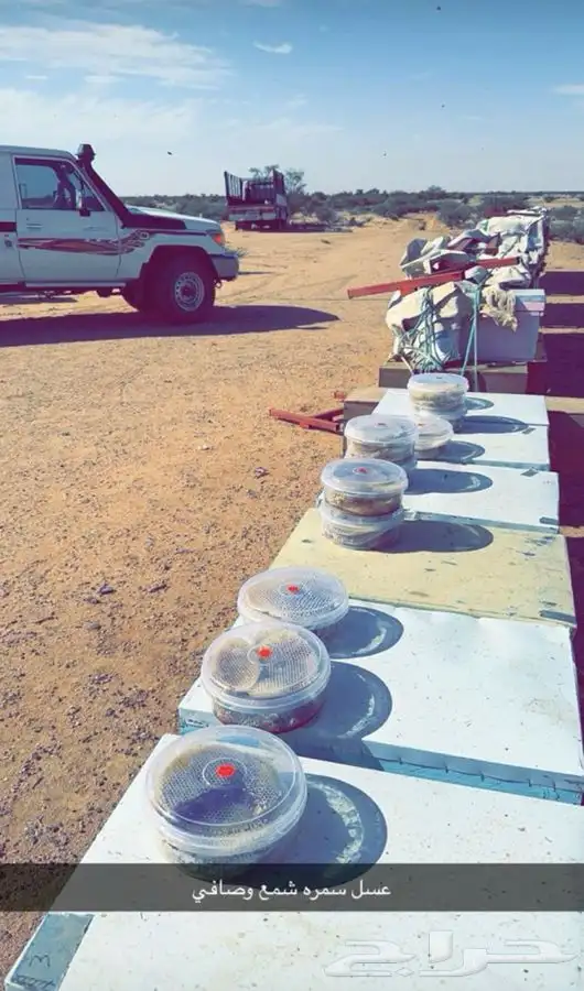 عسل سمره عشيره صافي وشمع اصلي  درجه اولى ذمه وامانه 0