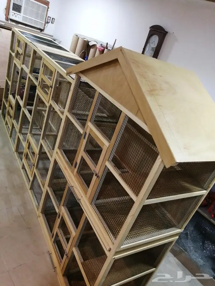 حضيرة عصافير 5