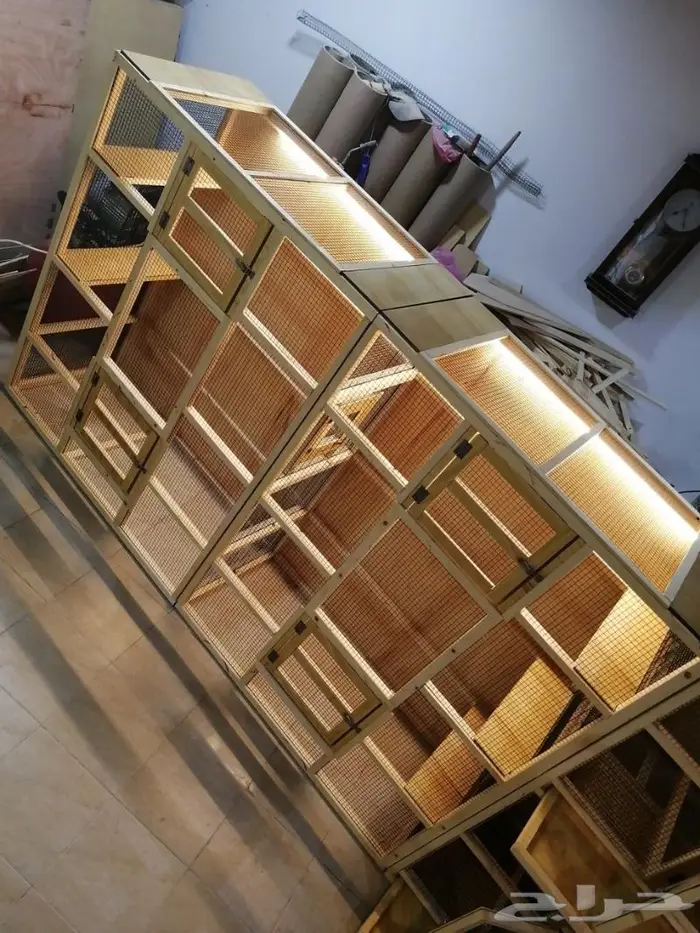 حضيرة عصافير 7