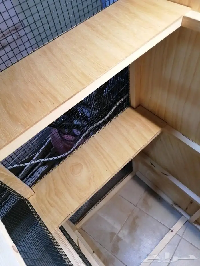 حضيرة عصافير 15