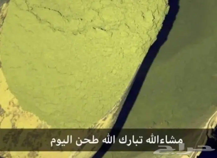 حنة المدينة المنورة الأصليه والمشاط والسدر 12