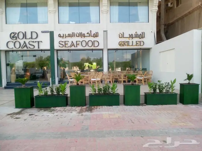 وصلتنا تشكيلة جديدة من النباتات الداخلية والخارجية 42