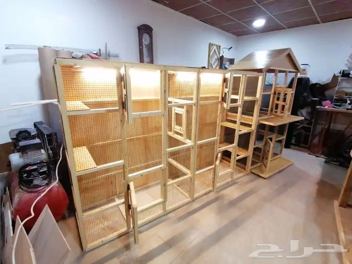 حضيرة عصافير 10