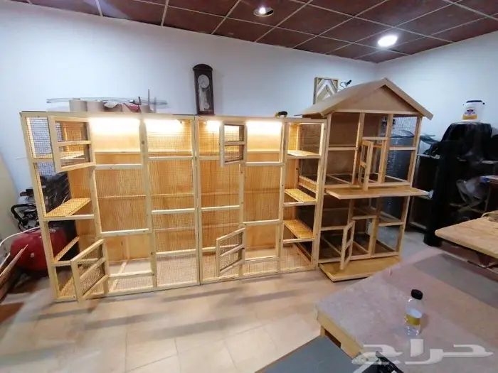 حضيرة عصافير 11