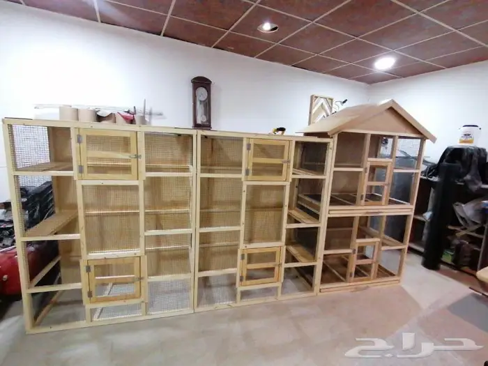 حضيرة عصافير 16