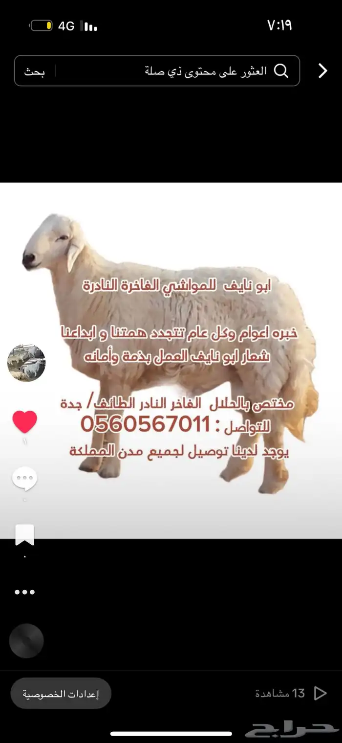 ذبايح حري وسواكن طائفيات راجعو التقييمات 25