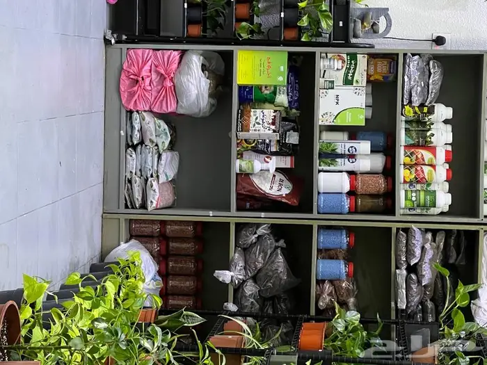 وصلتنا تشكيلة جديدة من النباتات الداخلية والخارجية 41