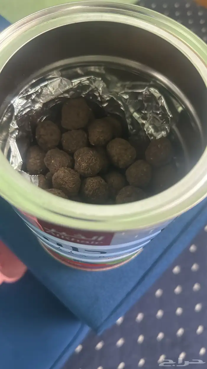 الحقو قبل يخلص 2