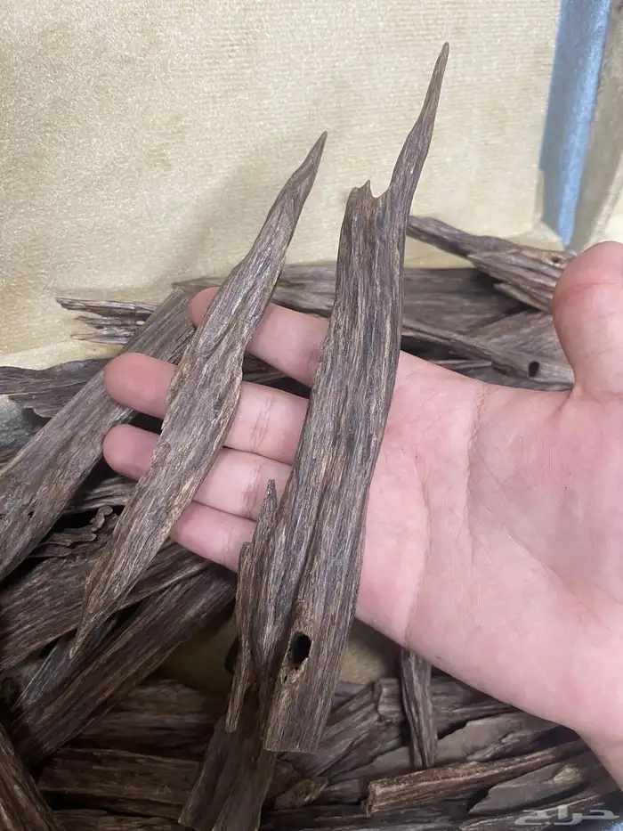 عود هندي نجلاند طبيعي فاخر بسعر الجملة 3