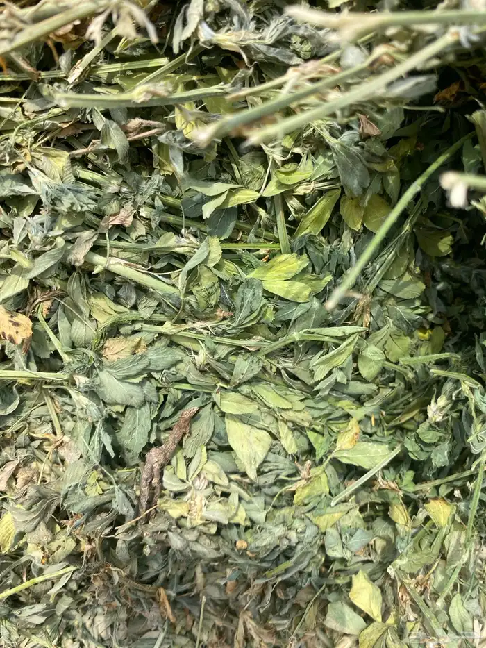 برسيم صافي شد قوي سلك مضغوط متر فآخر ورق 0