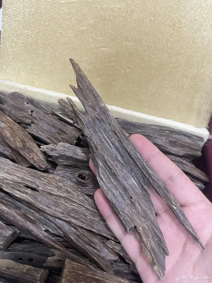 عود هندي نجلاند طبيعي فاخر بسعر الجملة 1